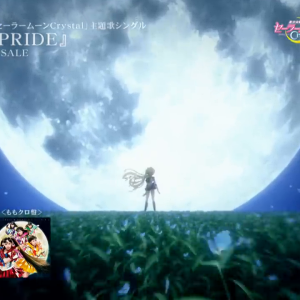 Sailor Moon And Sailor Guardian ( MOON PRIDE )