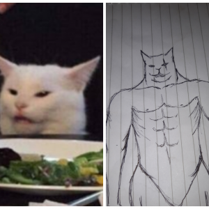 White cat meme revealed XD!
